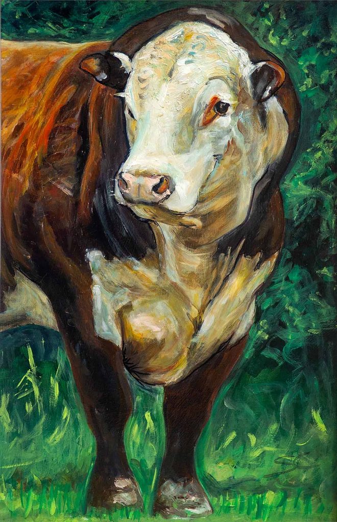 Foxtrot Oscar, Hereford Bull